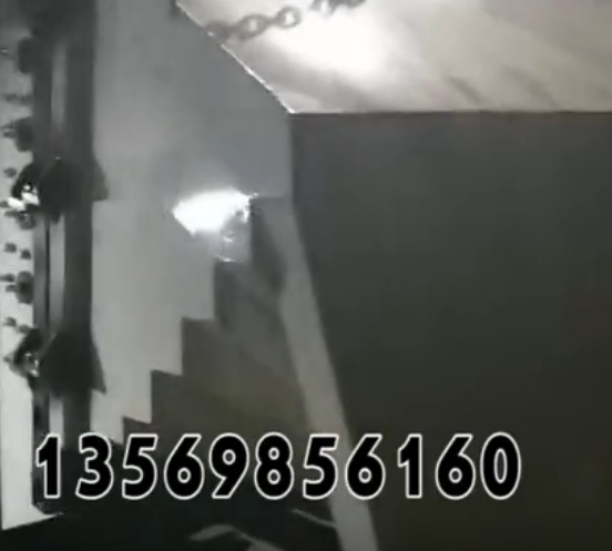 新澳金龙资料大全