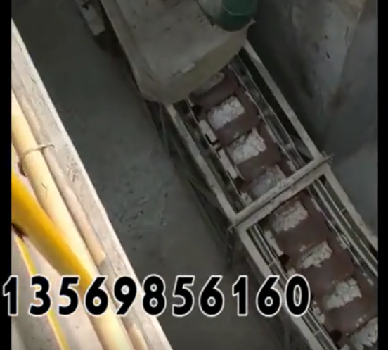 新澳金龙资料大全