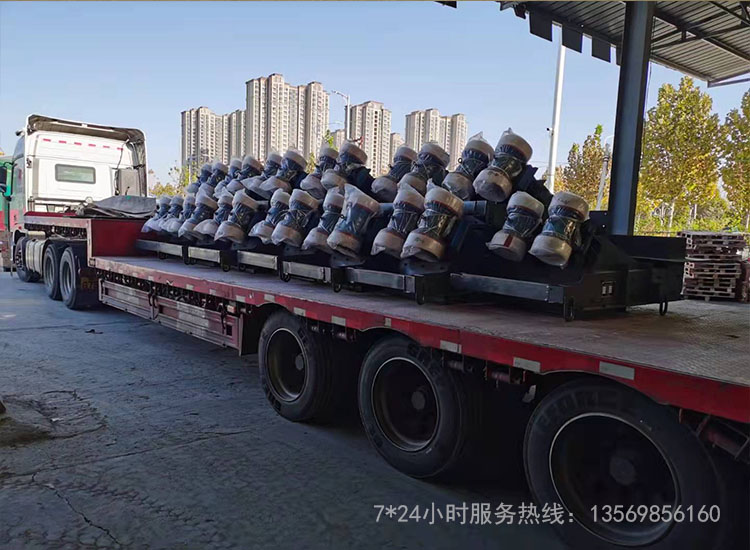 新澳金龙资料大全
